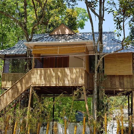 Ponmudi Valley Resorts Exteriér fotografie