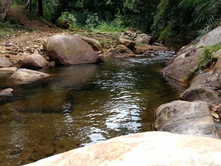 Ponmudi Valley Resorts Exteriér fotografie