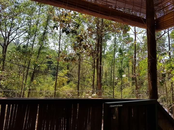 Ponmudi Valley Resorts Exteriér fotografie